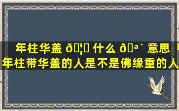 年柱华盖 🦆 什么 🪴 意思「年柱带华盖的人是不是佛缘重的人」